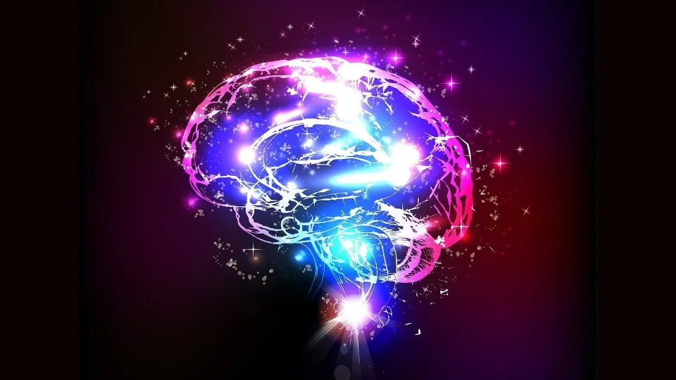 A look back (and a look ahead) on citizen science