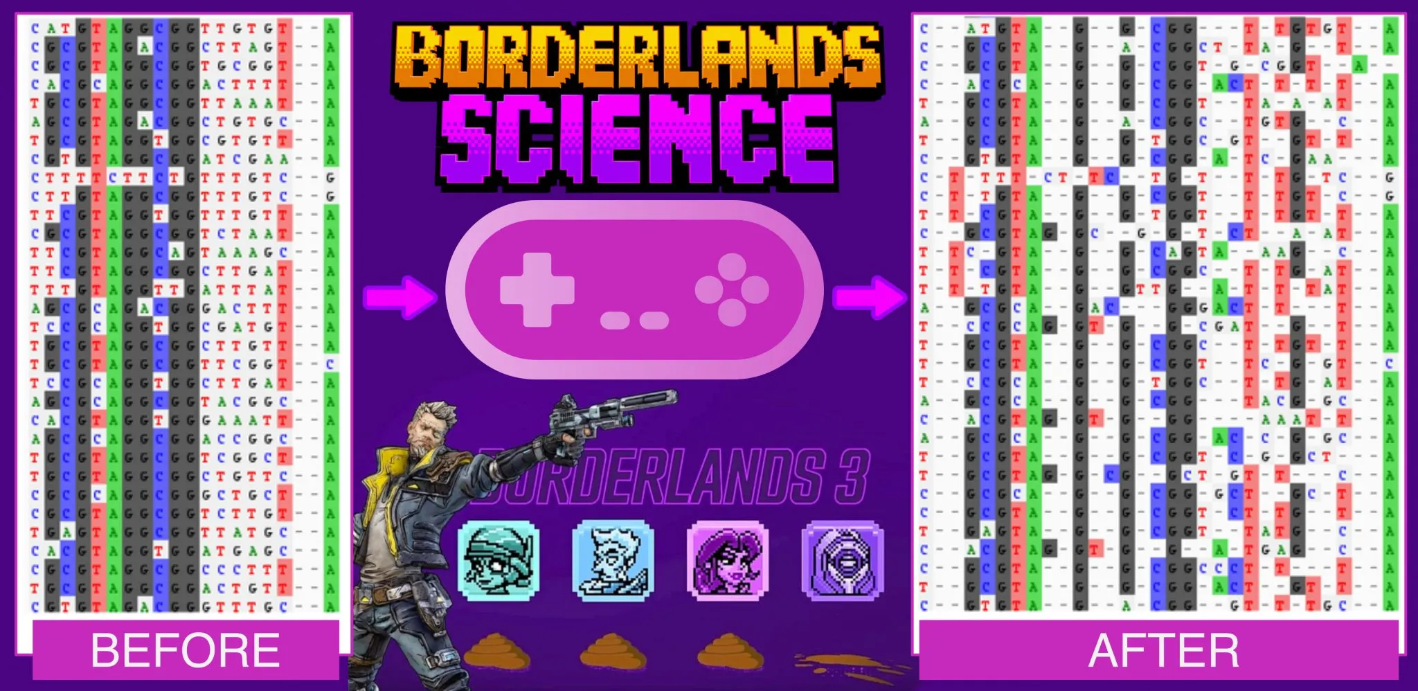 Before and After Alignment